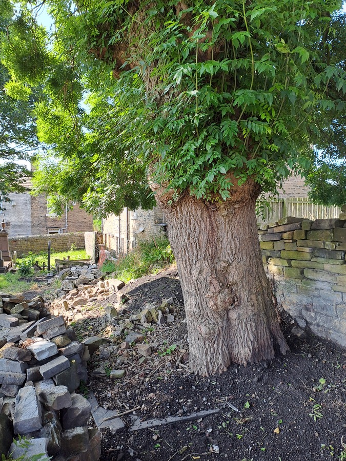 We are continuing with clearing away the collapsed wall in Section 3
